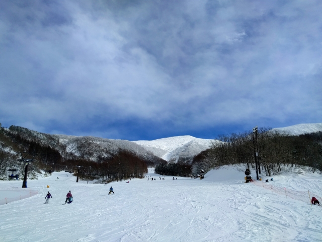 山 場 横手 スキー #1116 志賀高原